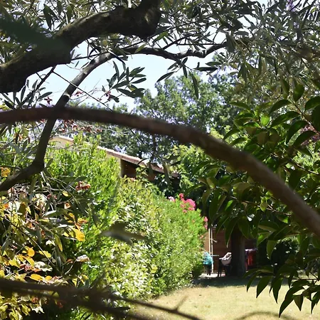 Lou Cigalou - Au Calme - Grand Jardin - Piscine Partagee - Parking - Campagne Et Idealement Situe Proche A7 Et Montelimar Tatil Evi *